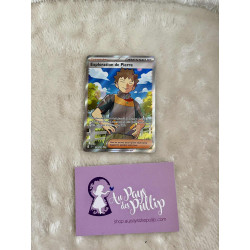 Carte Pokemon : Exploration de Pierre JTG 179/159