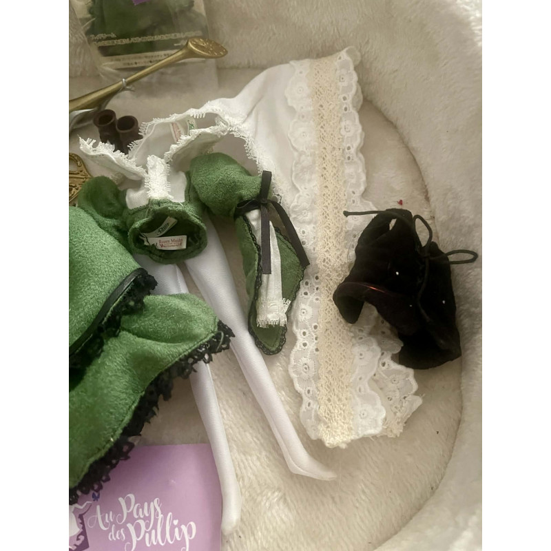 outfit complet de la pullip suiseiseki