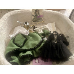 outfit complet de la pullip suiseiseki