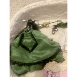 outfit partiel de la pullip suiseiseki