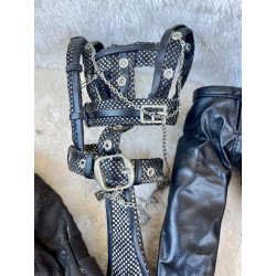 Outfit Taeyang timulus