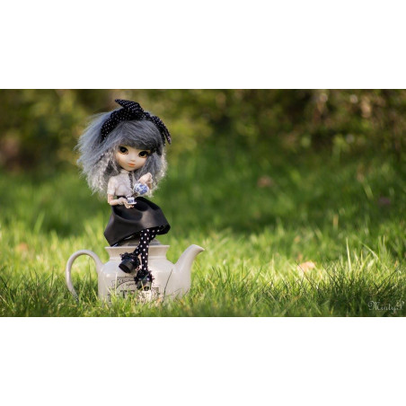 Carte postale pullip par Darek Donnfhlaidh