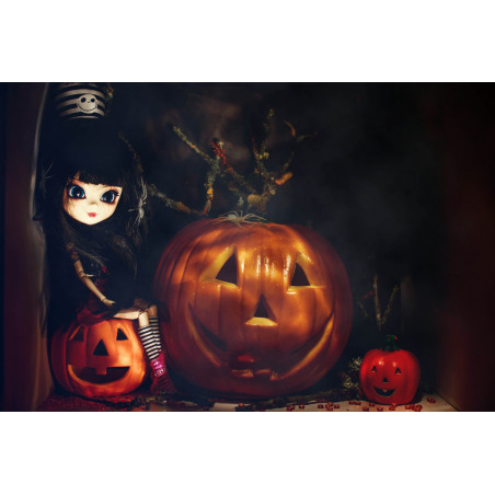 Carte postale pullip par Darek Donnfhlaidh