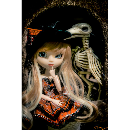 Carte postale pullip par Darek Donnfhlaidh